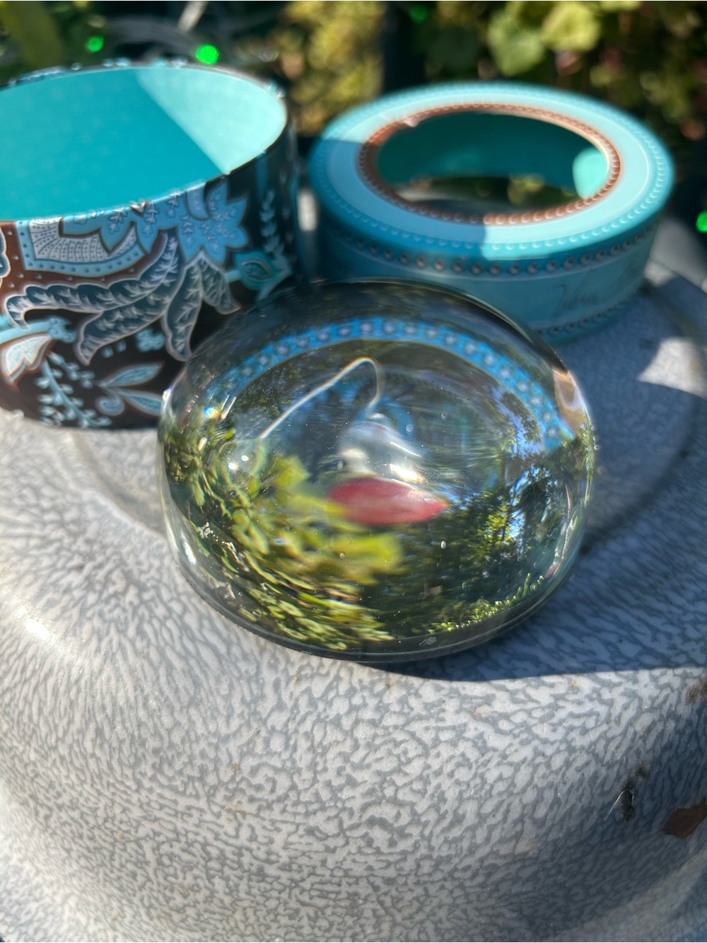 Vera Bradley Glass Paperweight with Teal Accent
